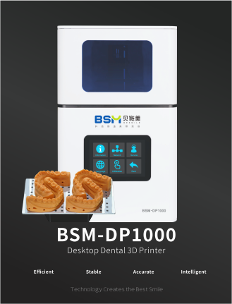 BSM-DP1000 Flyer