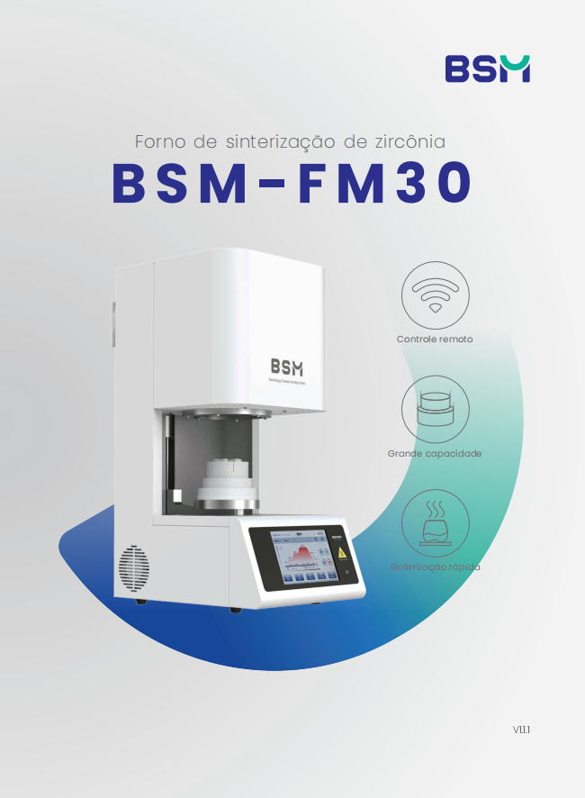 BSM_Sintering_FM30_Flyer_PT 20250724 v1.1.1