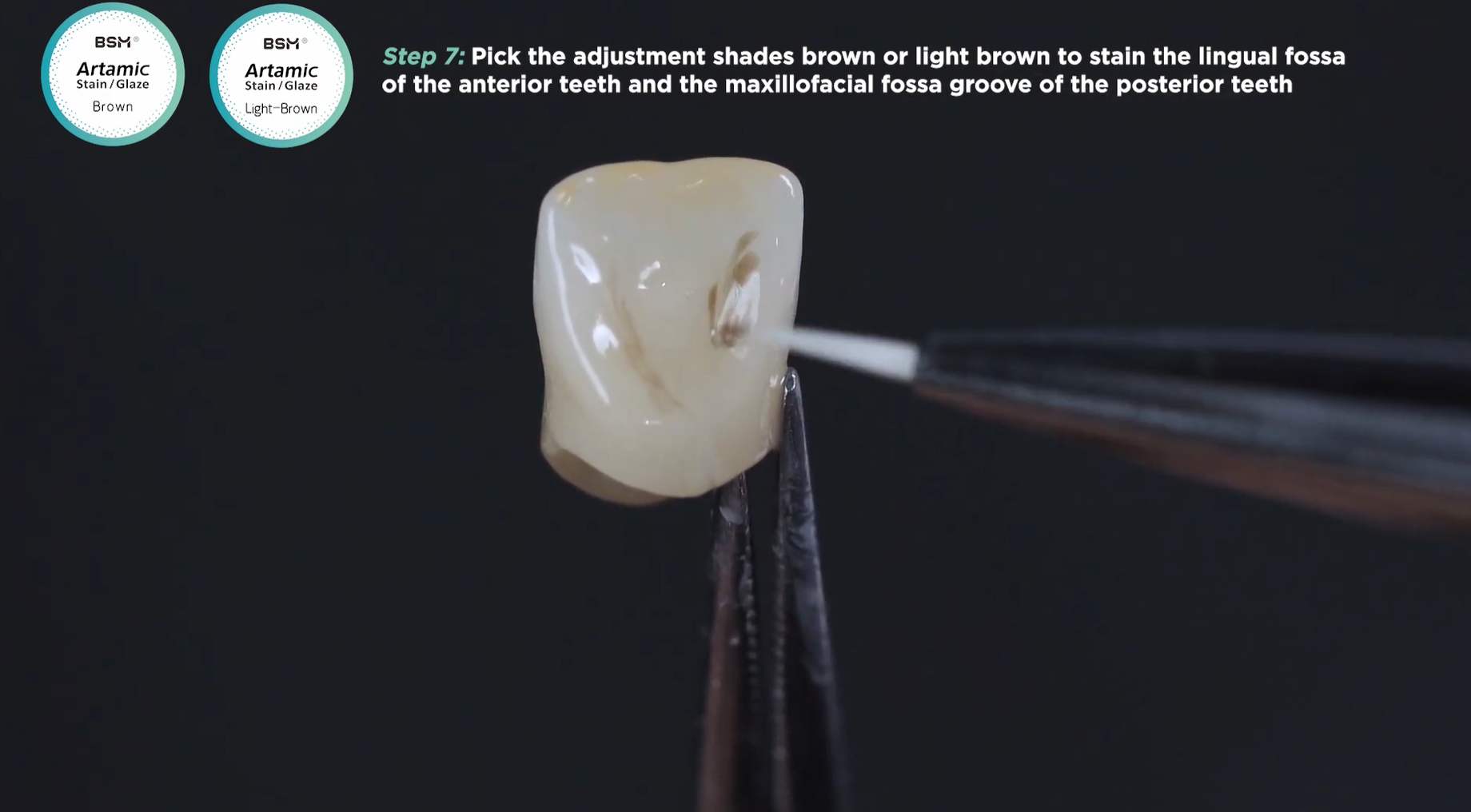 BSM-Artamic Simulate Staining Instruction Video