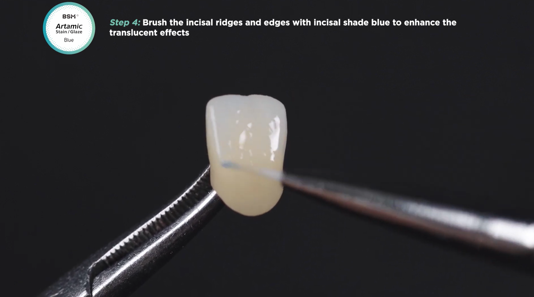 BSM-Artamic Basic Staining Instruction Video